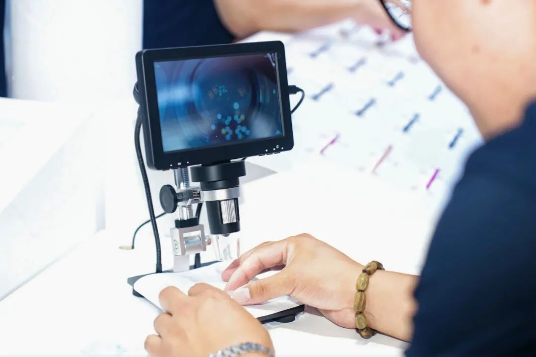 BVI倍锋丨2025年眼底病学术交流会议暨国际视网膜研讨会圆满闭幕